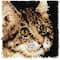 Wonderart® Tabby Latch Hook Kit